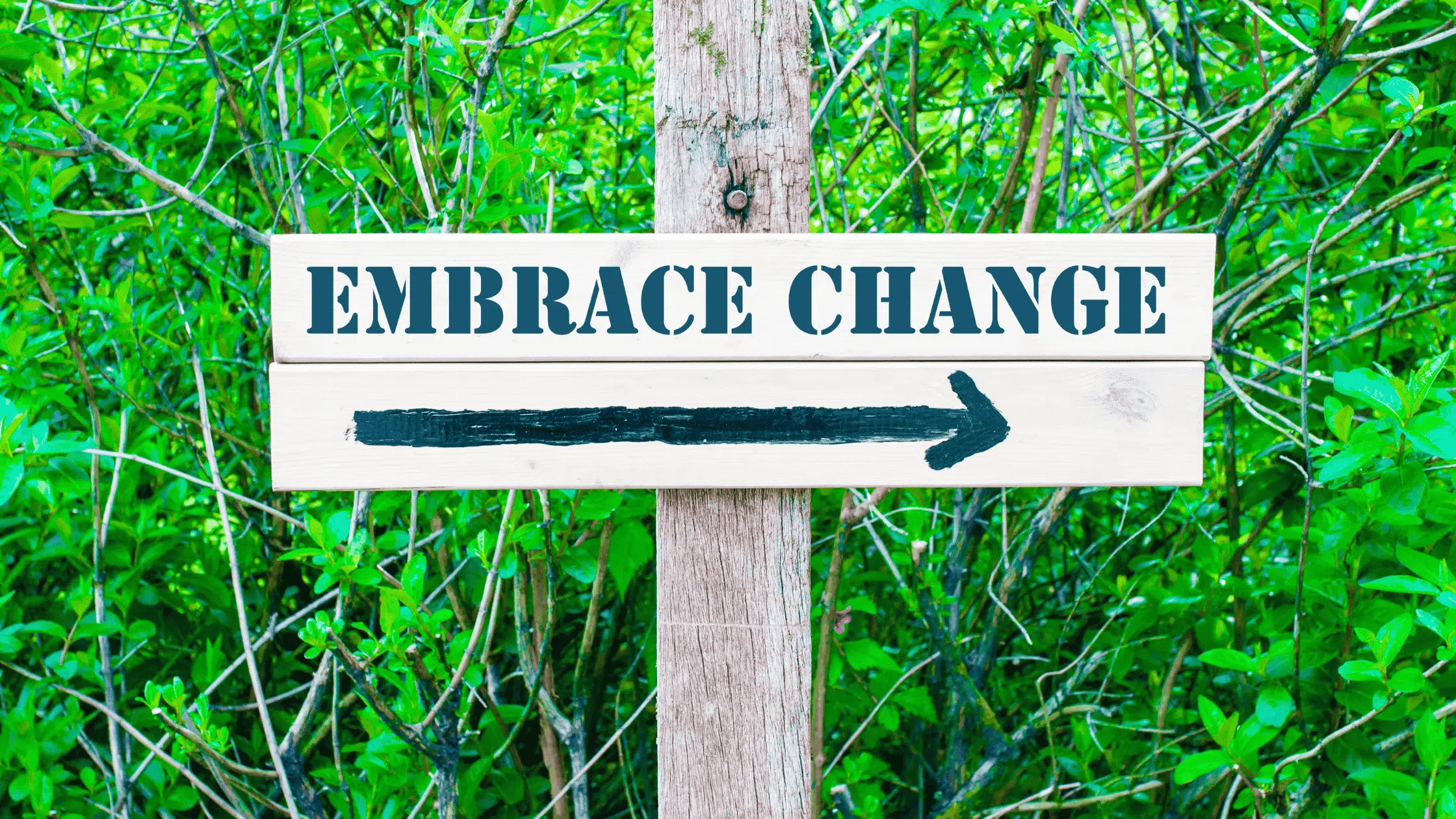 Embrace Change With Menopause - HairZglam